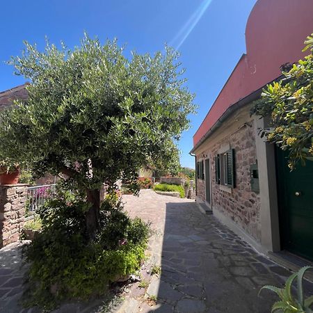 הוילה קפראיה Casa Vista Castello מראה חיצוני תמונה