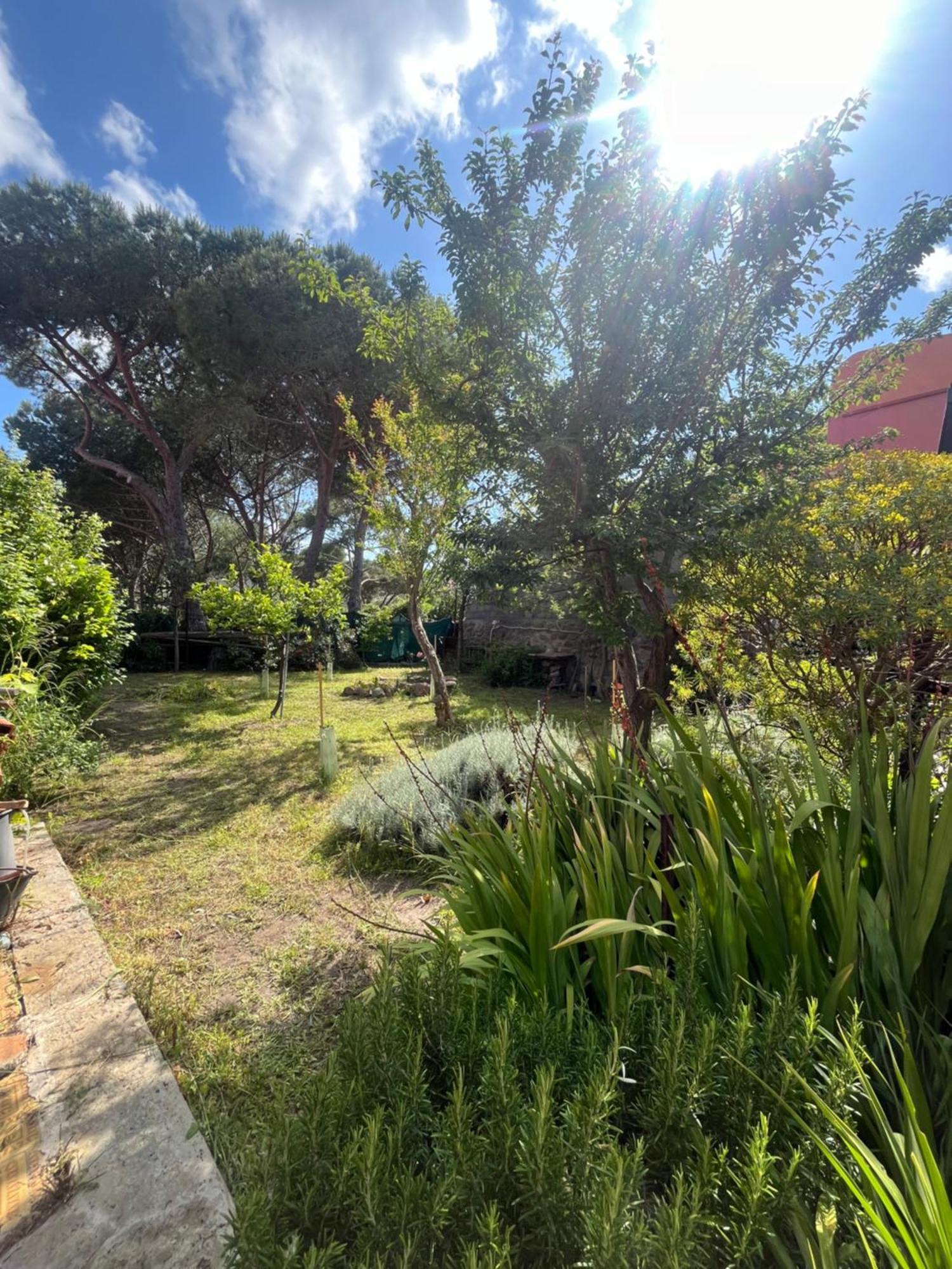 הוילה קפראיה Casa Vista Castello מראה חיצוני תמונה